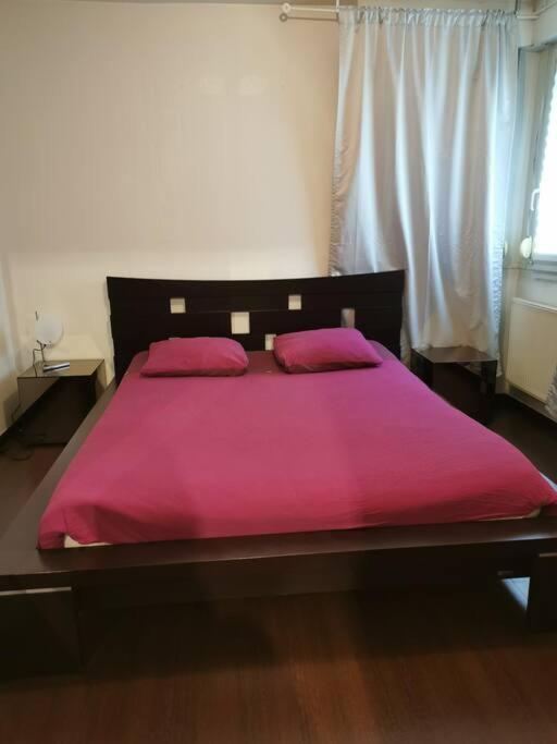 Appartement Cosy A 10 Min Du Centre De ستراسبورغ المظهر الخارجي الصورة